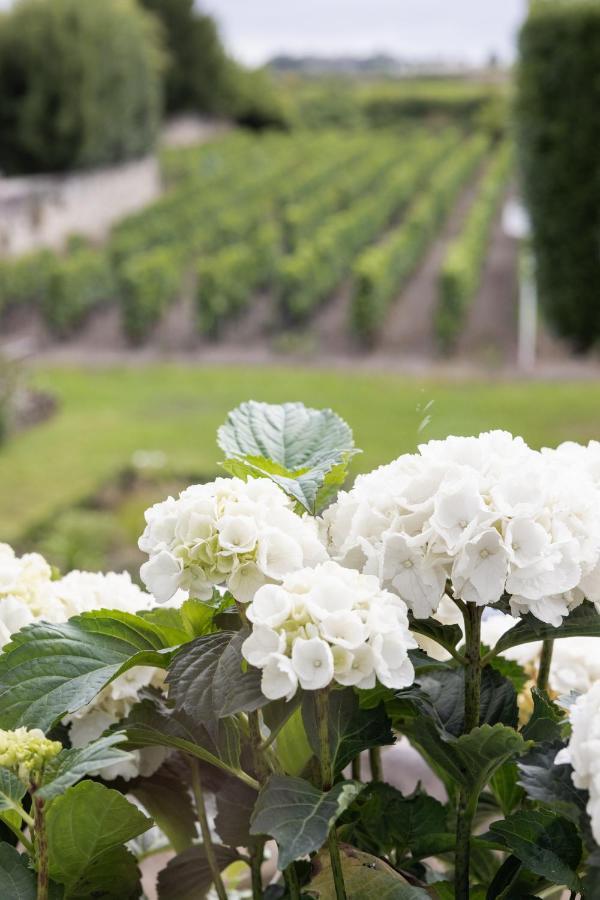 Hotel Porte Brunet Saint-Emilion Bagian luar foto